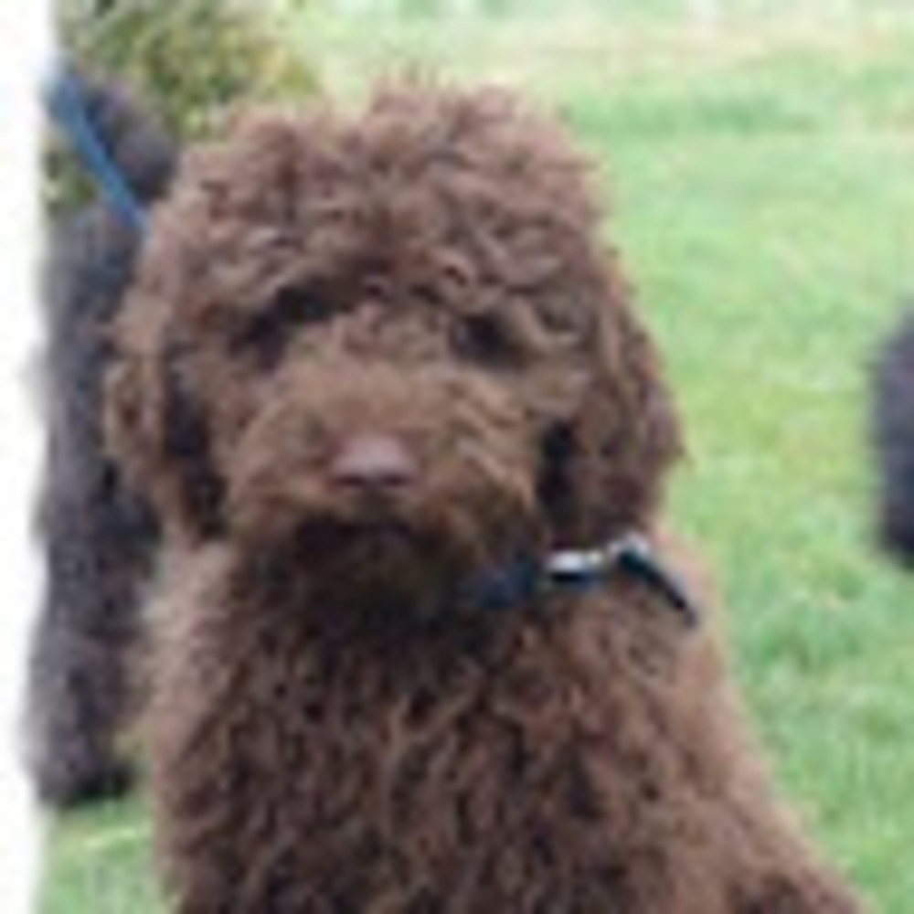 Meet your Posher, Ellagrace